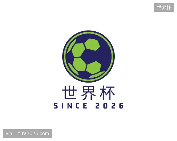 解读世界杯官网